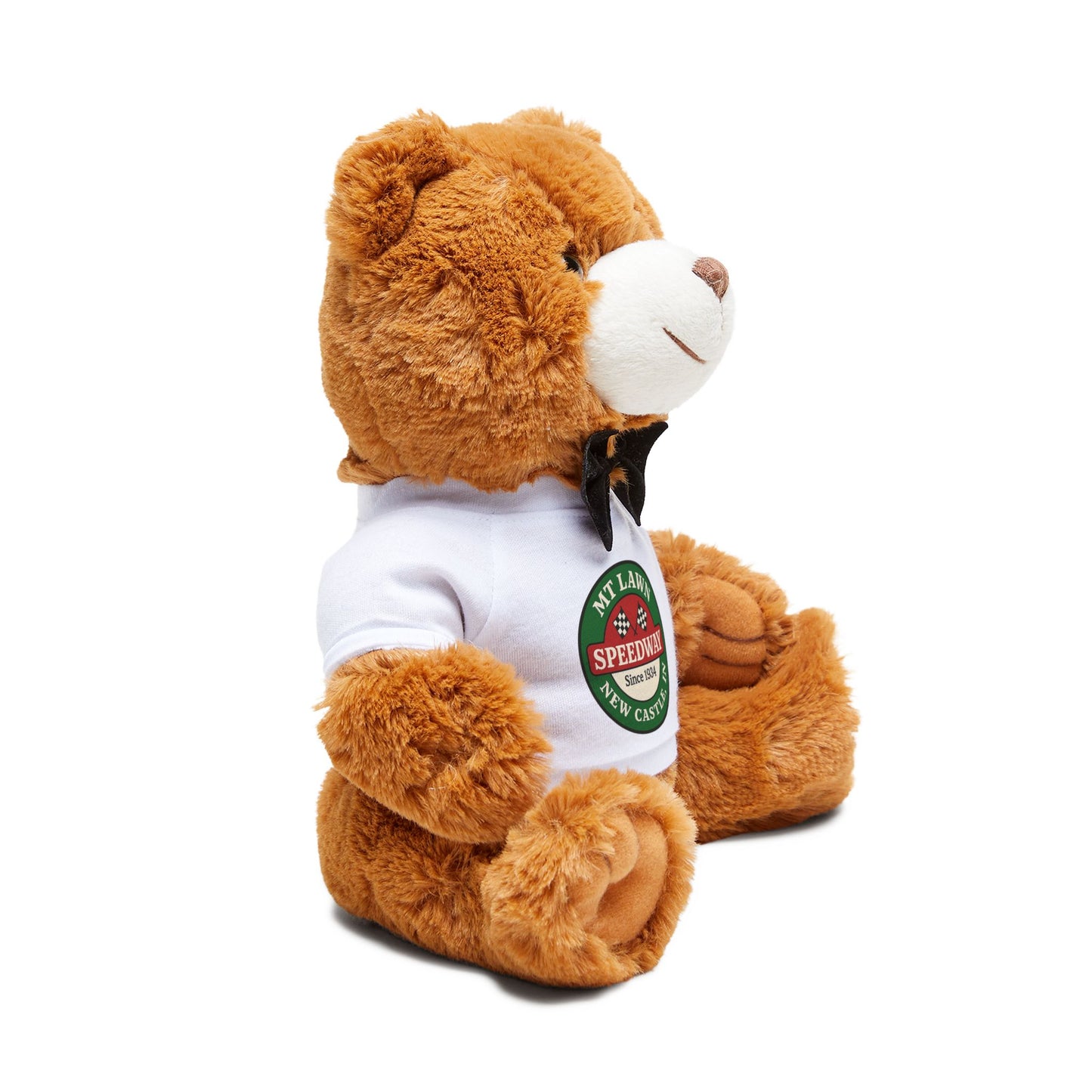 Mt Lawn Teddy Bear Gift