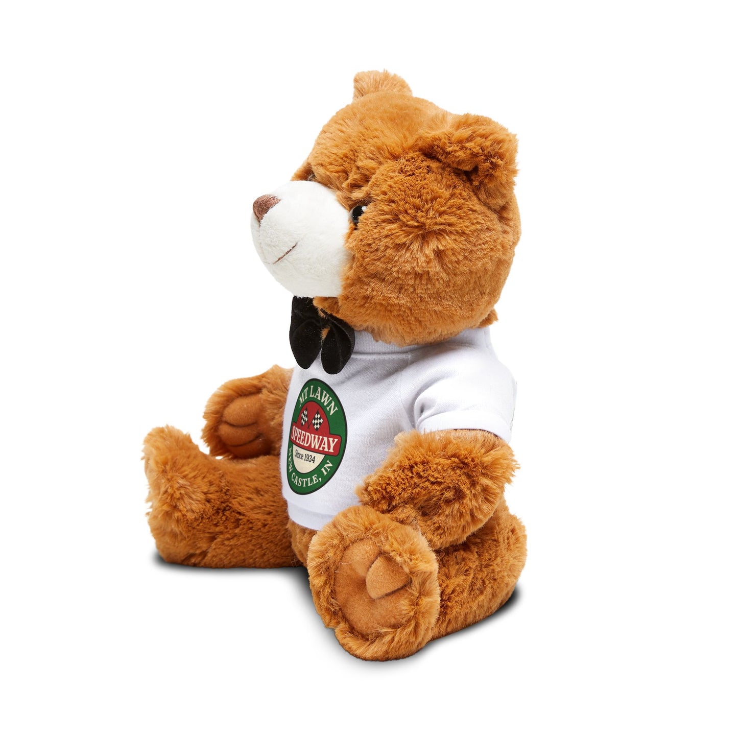 Mt Lawn Teddy Bear Gift